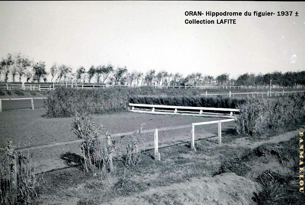 ORAN 1937 HYPPODROME DU FIGIER    (20).jpg